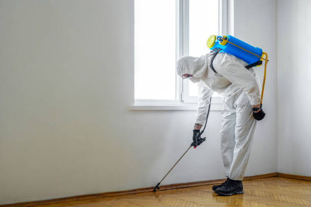 Emergency Pest Control in Alsip, IL